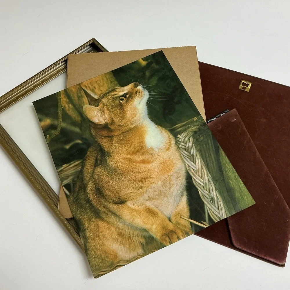 Vintage Gold Metal Picture Frame 8x10 Cat Print Standing Easel Ball Feet 60s MCM